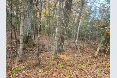 Lot 1 W Cider Mill Lane, Swanville, ME 04915 - Photo 1
