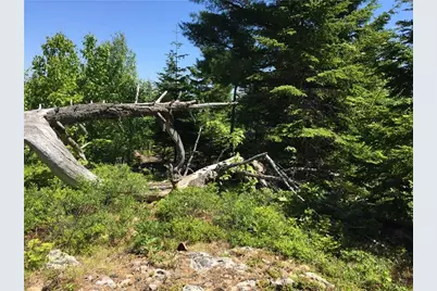 65 Lookout Mountain Road, East Machias, ME 04630 - Photo 10