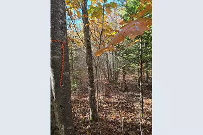 00 Wilson Road, Atkinson, ME 04426 - Photo 18