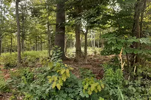 Lot 3 Ohio St, Glenburn, ME 04401 - Photo 1