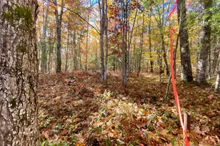 00 Cottage Ln, Brownfield, ME 04010 - Photo 1