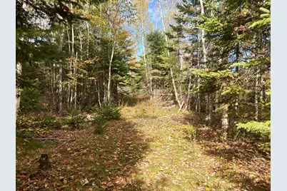 Lot 22 Off South Meadow & Roys Way Road, Perry, ME 04667 - Photo 1