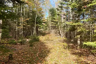 Lot 22 Off South Meadow & Roys Way Rd, Perry, ME 04667 - Photo 1