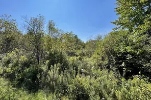 61 Hadley Lake Rd, East Machias, ME 04630 - Photo 1