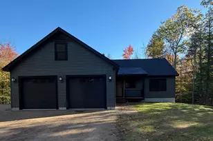 419 Hancock Pond Rd, Sebago, ME 04029 - Photo 1