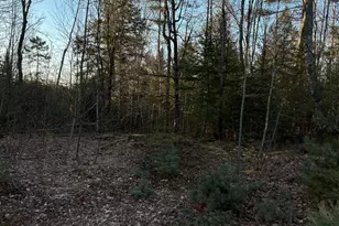 M7L22 L31 Nelson Ridge Road N, Washington, ME 04574 - Photo 1