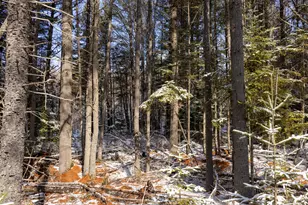 M11L3 Stud Mill Rd, Milford, ME 04461 - Photo 1