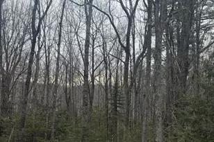 Lot 31 Weeman Rd, Baldwin, ME 04091 - Photo 1