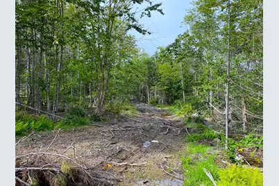 Lot128C Love Lake Road, Crawford, ME 04694 - Photo 1