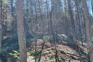 Lot 163 Page Hill Rd, Ripley, ME 04930 - Photo 1