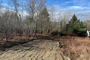 207 Gray Meadow Rd, Orland, ME 04472 - Photo 1