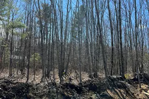 46 Red Oak Dr, Old Orchard Beach, ME 04064 - Photo 1