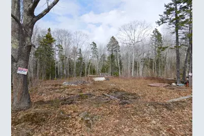 Lot # 0 Beech Hill Road, Northport, ME 04849 - Photo 1