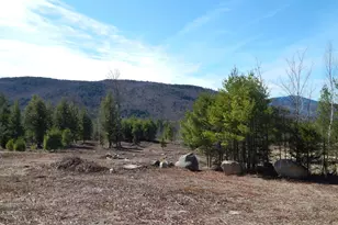 Lot12 Second St, Bethel, ME 04217 - Photo 1