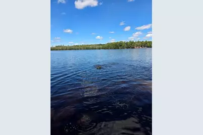Off Northfield Road, Marshfield, ME 04654 - Photo 1