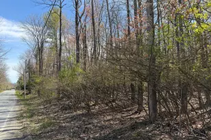 Lot 74-D Copeland Hill Rd, Holden, ME 04429 - Photo 1
