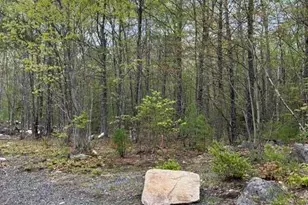 Parcel A Old Farnham Rd, Alfred, ME 04002 - Photo 1
