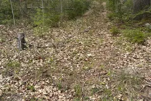 Lot 3 Morse District Rd, Steuben, ME 04680 - Photo 1