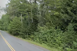 0 Plummer Mill Rd, Durham, ME 04222 - Photo 1