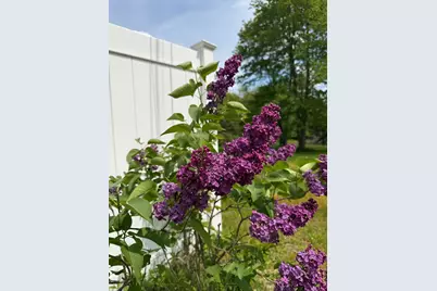 231 River Road, Topsham, ME 04086 - Photo 1