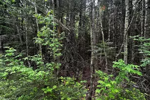 Lot 9-3 Lilly Dr, Newport, ME 04953 - Photo 1