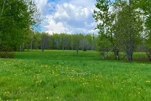 Lot 8 Clark Rd, Patten, ME 04765 - Photo 1