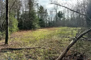 Map 8 Lot 12 Crane Bridge Rd, Monroe, ME 04951 - Photo 1