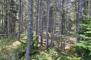 16 Woody Ln, Cushing, ME 04563 - Photo 1