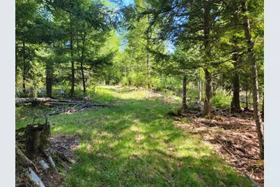 67 Bog Brook Road, China, ME 04358 - Photo 1