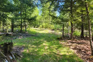 67 Bog Brook Rd, China, ME 04358 - Photo 1