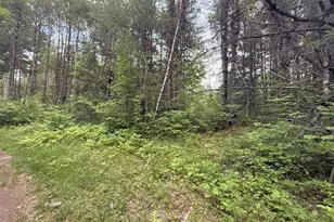 003-001-A Project Rd, Enfield, ME 04493 - Photo 1