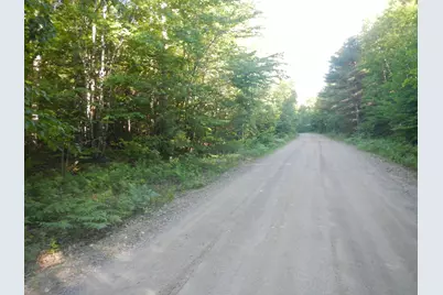 02-09-00-0 Upper Dobsis Road, Lakeville, ME 04487 - Photo 1