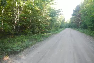 02-09-00-0 Upper Dobsis Rd, Lakeville, ME 04487 - Photo 1
