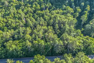 276 River Rd, Naples, ME 04055 - Photo 1