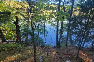 Map Lot 18 1/59-2 59, East Machias, ME 04630 - Photo 1