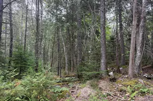 00 Youngâ€™s Point Rd, Brooksville, ME 04617 - Photo 1