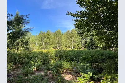 Lot 6 & 8 Franklin Realty Road, Haynesville, ME 04497 - Photo 1