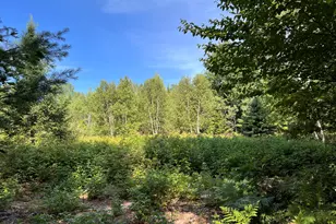 Lot 6 & 8 Franklin Realty Rd, Haynesville, ME 04497 - Photo 1