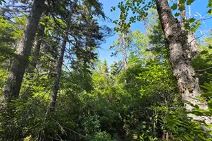 Map 1 Lot 10-2 Patten Rd, Jonesboro, ME 04648 - Photo 1
