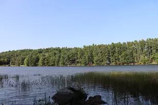 Lot 0 Sweet Fern Way, Orland, ME 04472 - Photo 1