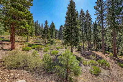 2785 Cross Cut Court, Truckee, CA 96161 - Photo 6