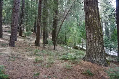 6 Pine Tree Court, Blairsden, CA 96103 - Photo 4