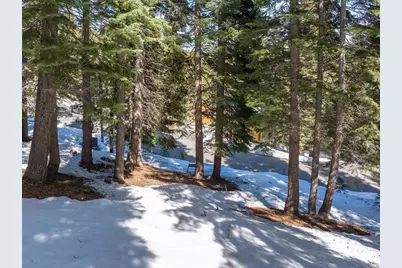11554 Saint Bernard Drive, Truckee, CA 96161 - Photo 10