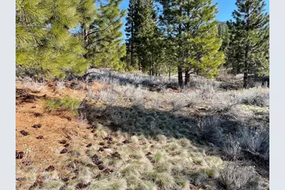 328 Blacktail Ridge, Portola, CA 96122 - Photo 4