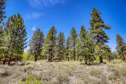 12447 Settlers Lane, Truckee, CA 96161 - Photo 12