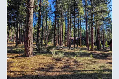 11561 Bottcher Loop, Truckee, CA 96161 - Photo 10