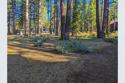 11561 Bottcher Loop, Truckee, CA 96161 - Photo 4