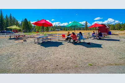 7735 Highway 89, Graeagle, CA 96103 - Photo 24
