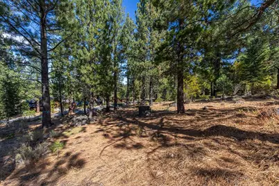13204 Snowshoe Thompson, Truckee, CA 96161 - Photo 10