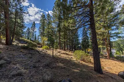 13204 Snowshoe Thompson, Truckee, CA 96161 - Photo 8